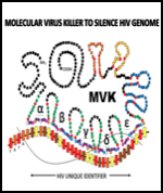 Molecular Virus