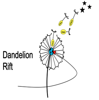 Dandelion Rift