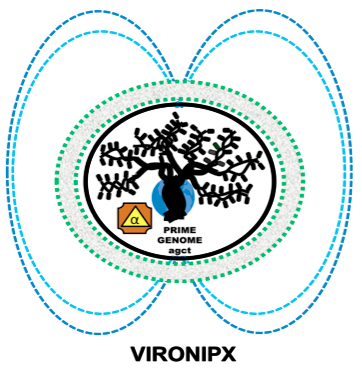 Vironipx